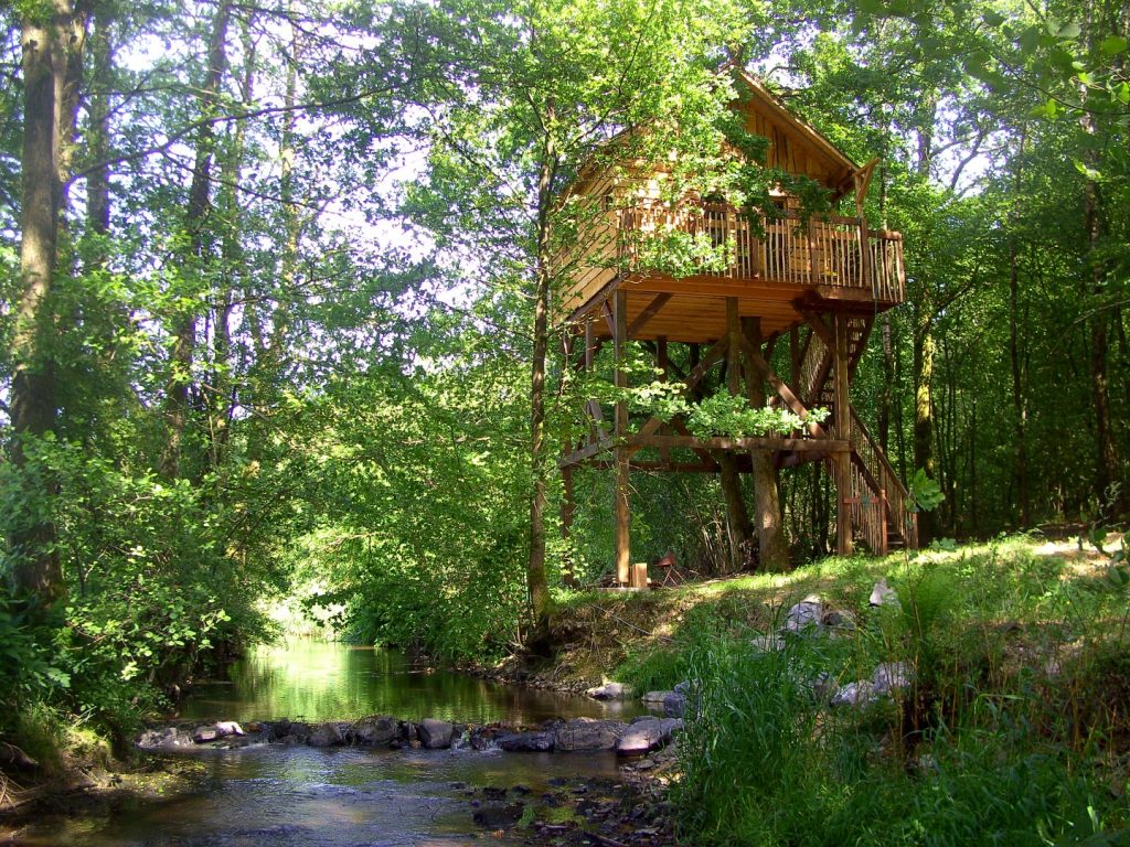 Cabane dans les arbres en Wallonie pres de Chimay