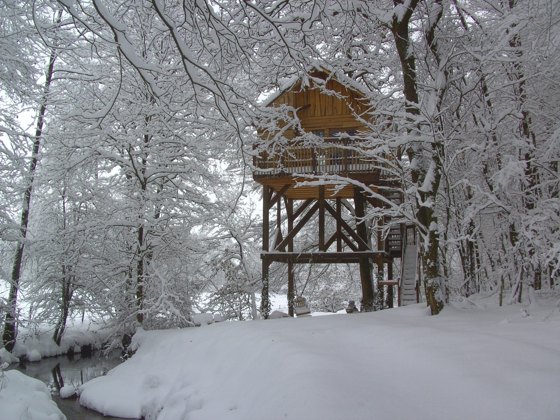 Vue principale de la cabane perchée dans les arbres