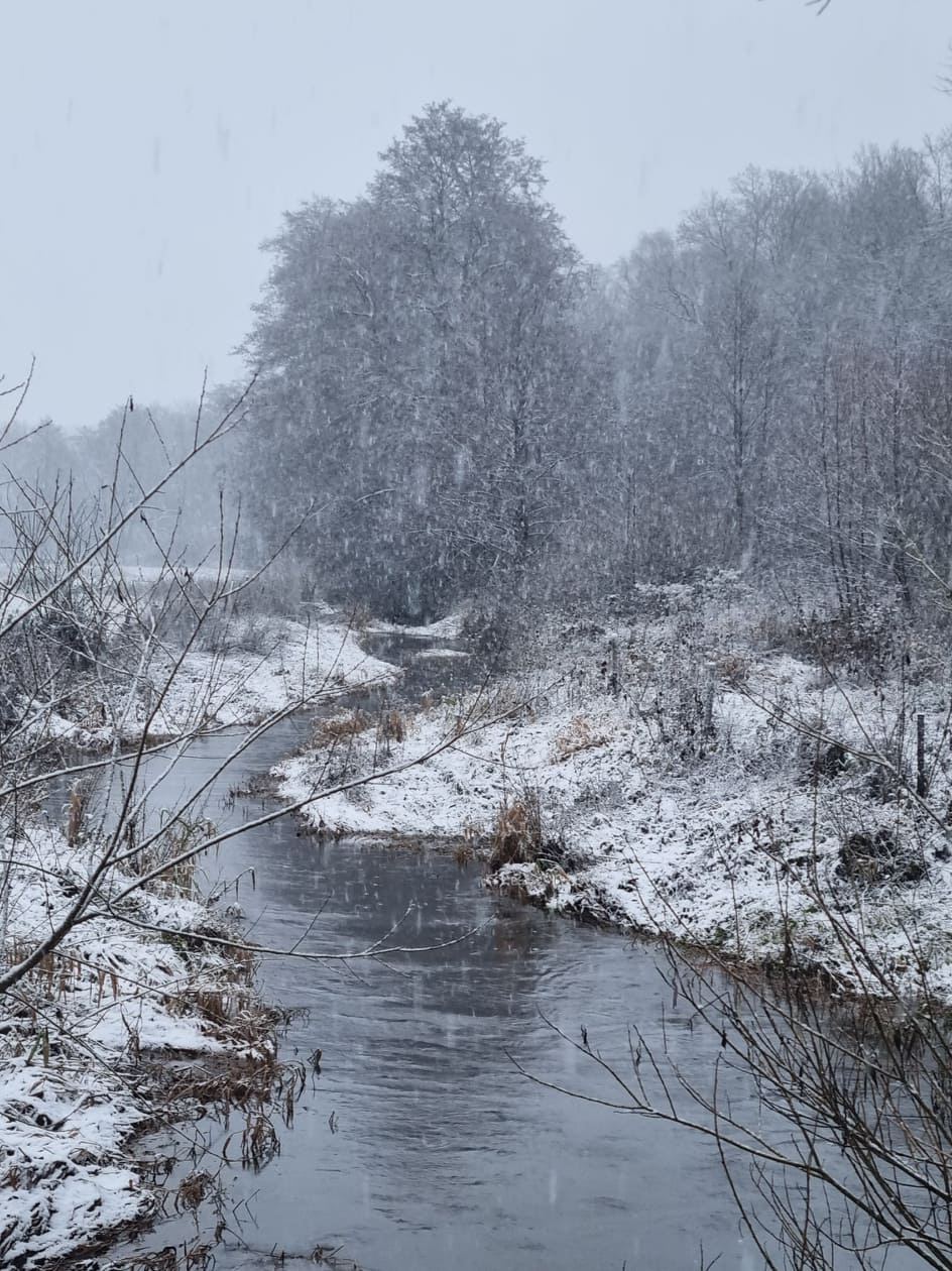 Nature autour du dôme près de Chimay