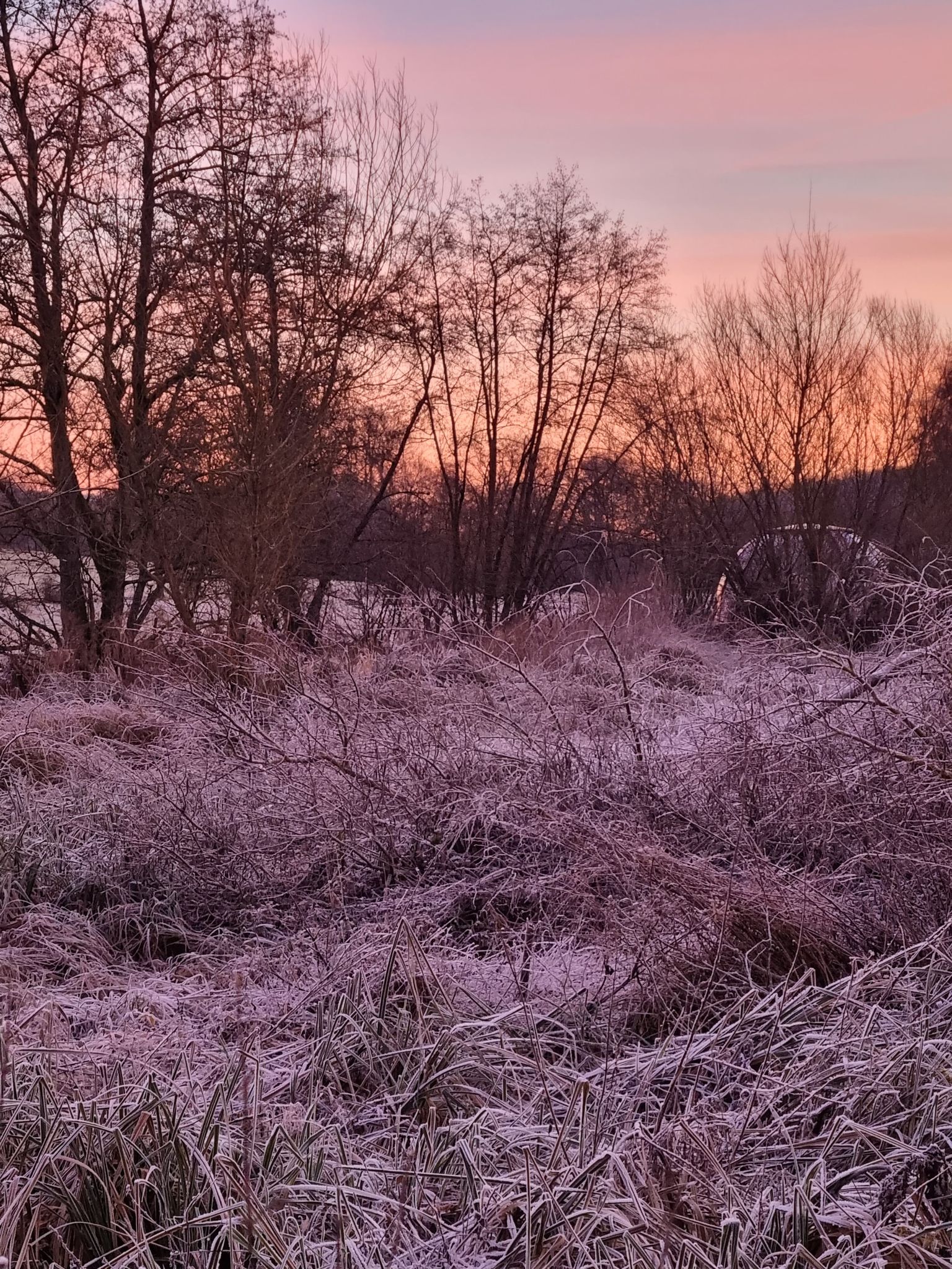Le Dôme des Étangs en automne ou en hiver