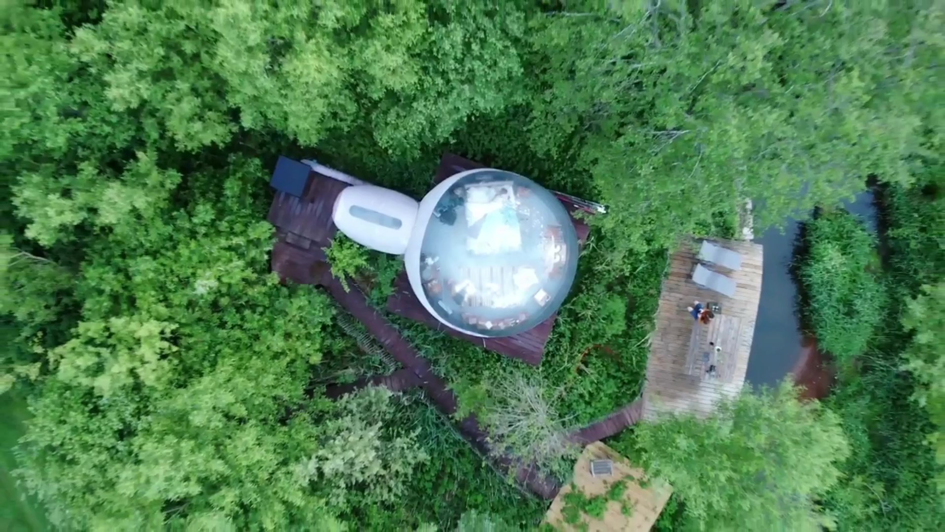 Nature autour de la bulle