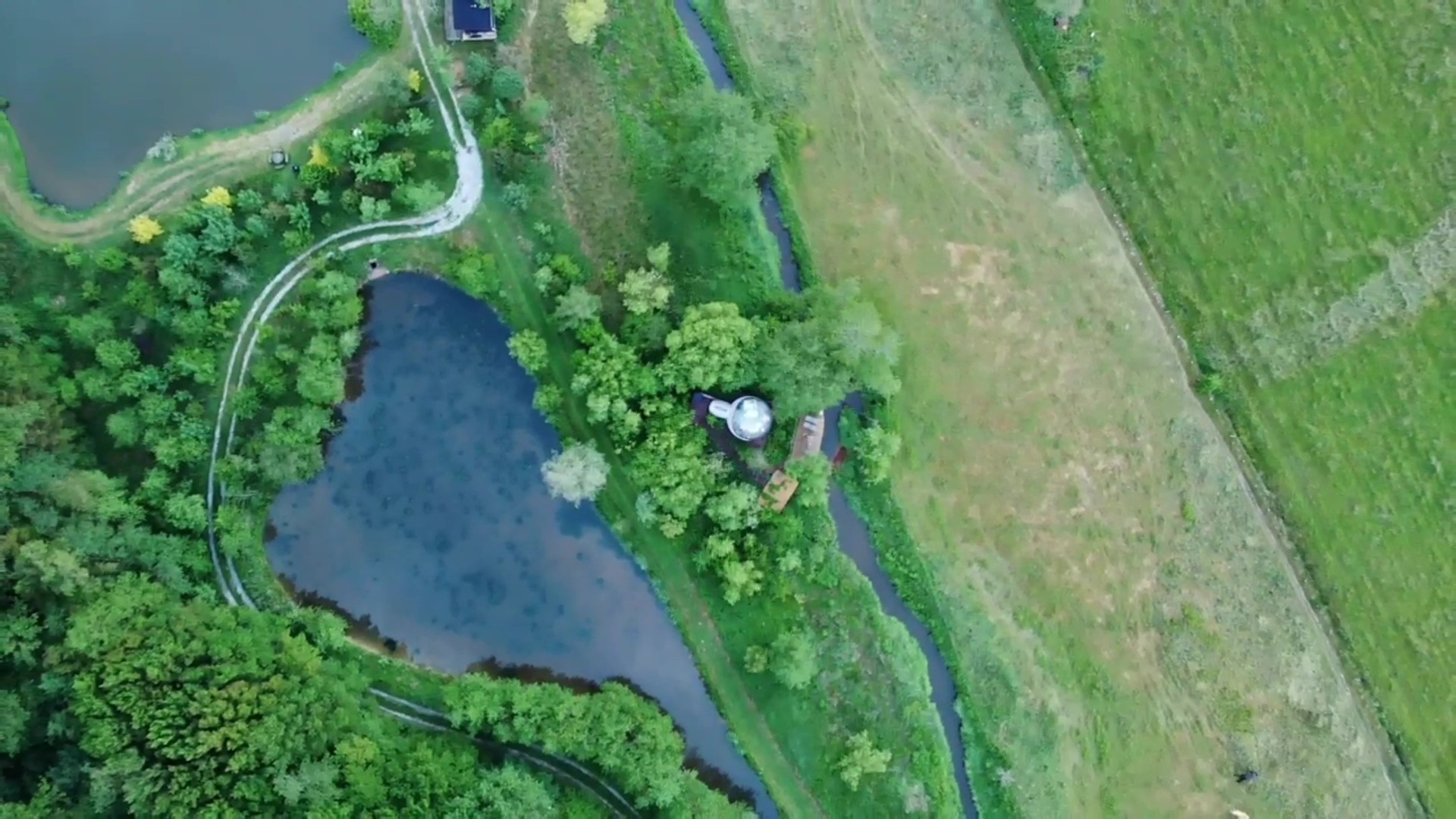 Bulle au bord de la rivière