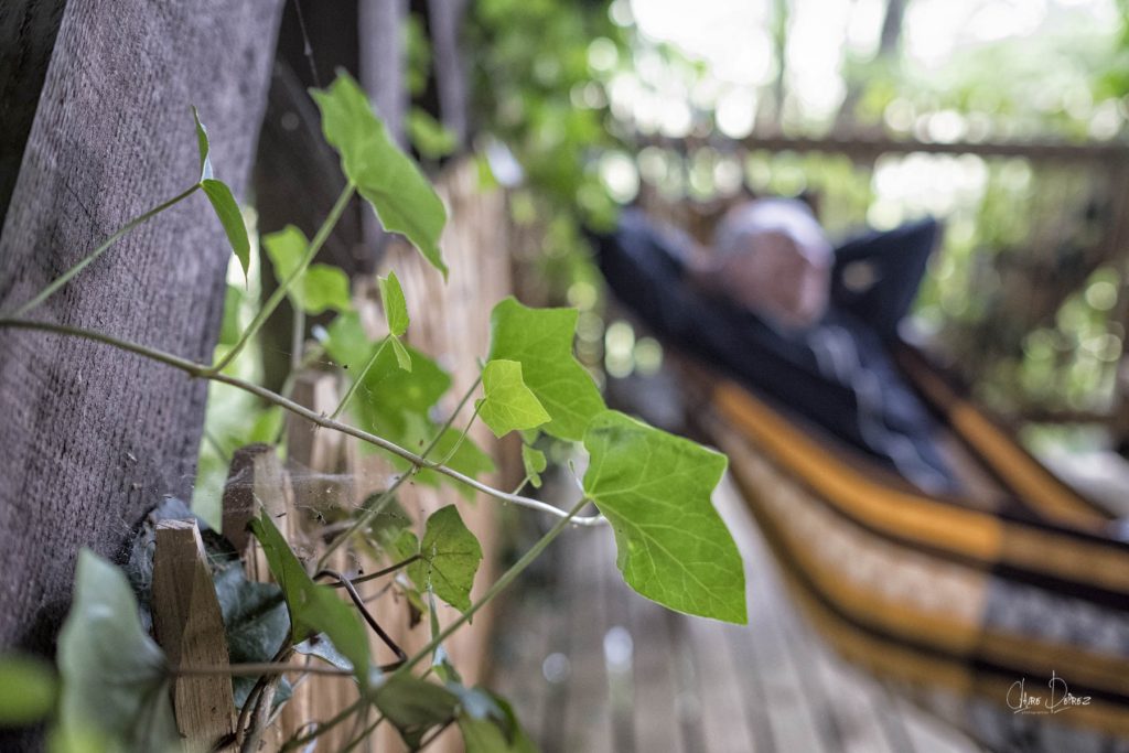 Terrasse de la cabane au bord de la forêt
