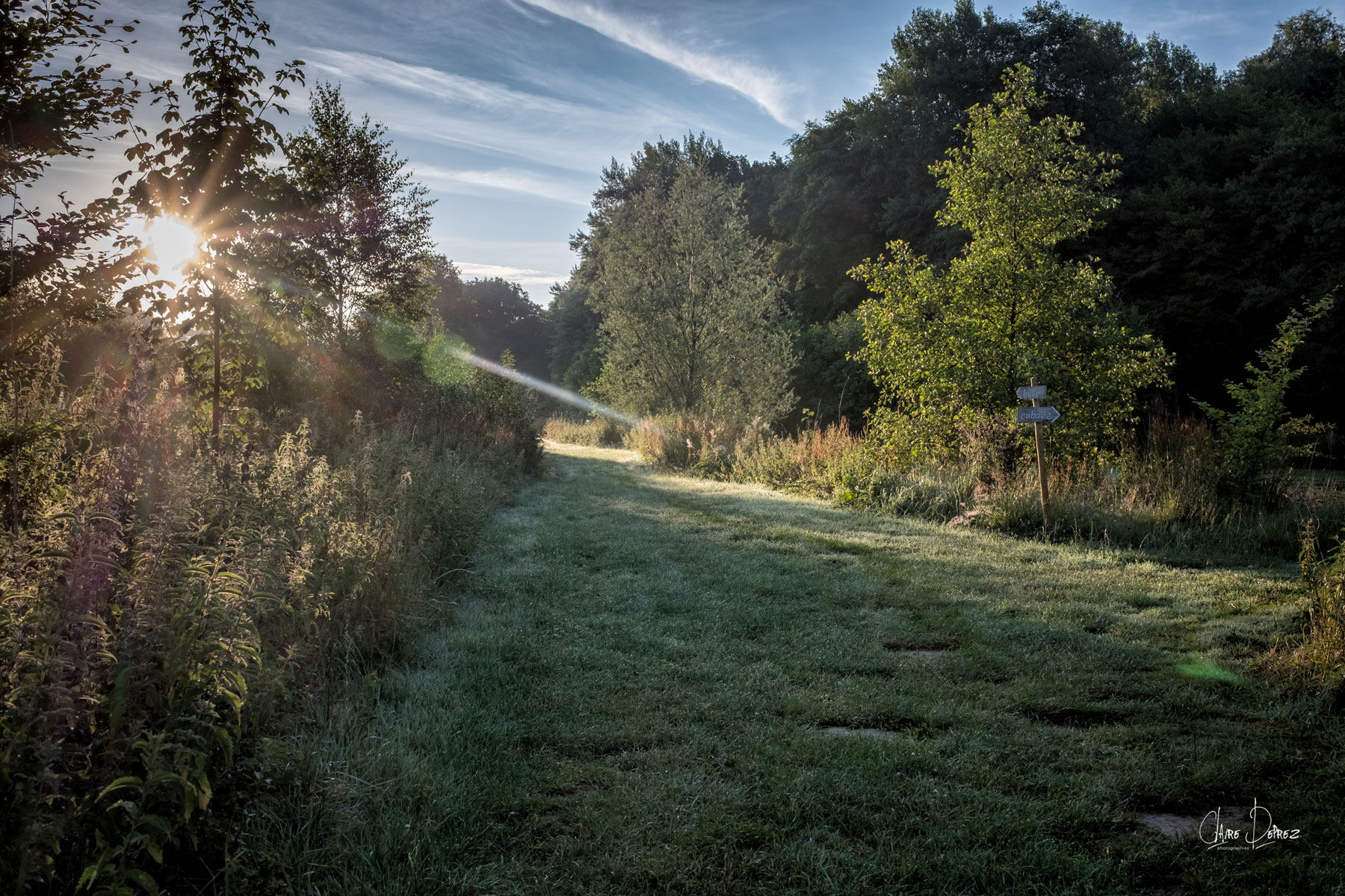 Balades en forêt près de la cabane