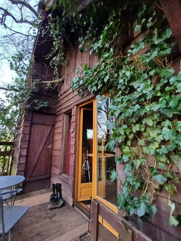Vue extérieure de la cabane perchée