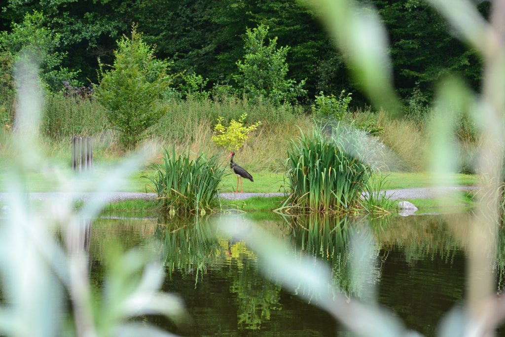 Cabane au bord de la forêt et de la rivière