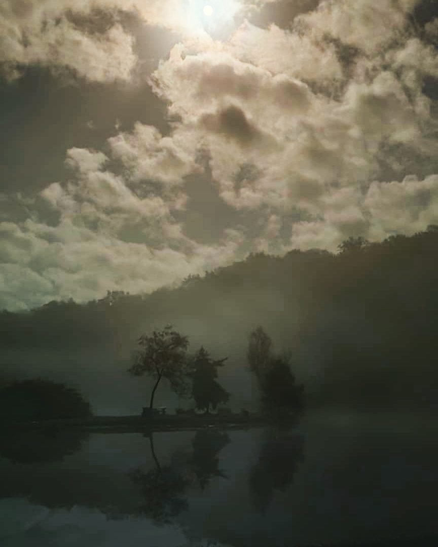 Vue de la nature autour de la bulle aux Étangs de Cendron