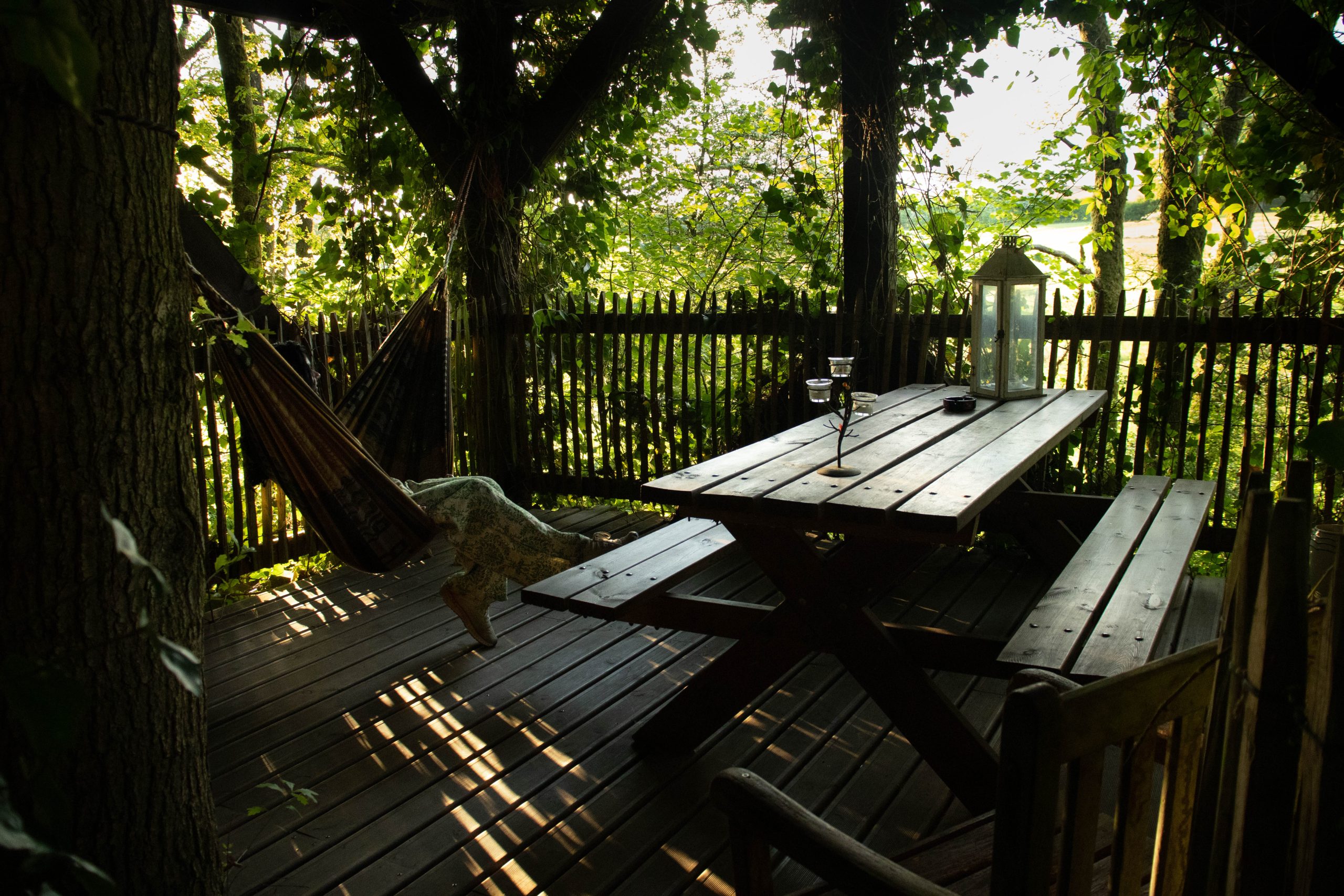 Escalier et accès à la cabane dans les arbres